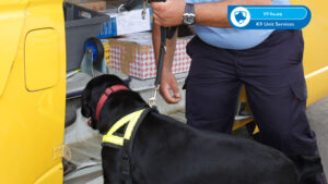 K9 Unit Services